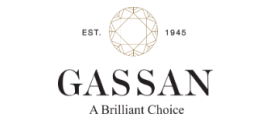Webshop Gassan Logo