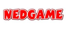 Logo Nedgame