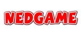 Webshop Nedgame Logo